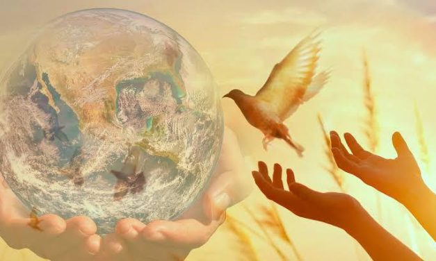 السلام العادل… طريق لإنهاء المعاناة وإقرار الحقوق الفلسطينية